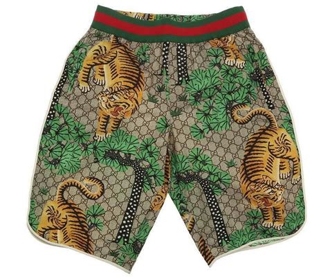 gucci bengali tiger swim trunks|gucci tiger clothing.